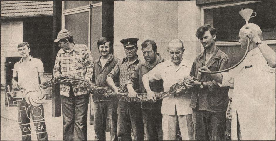 Fotografije iz prošlosti ZOO-a