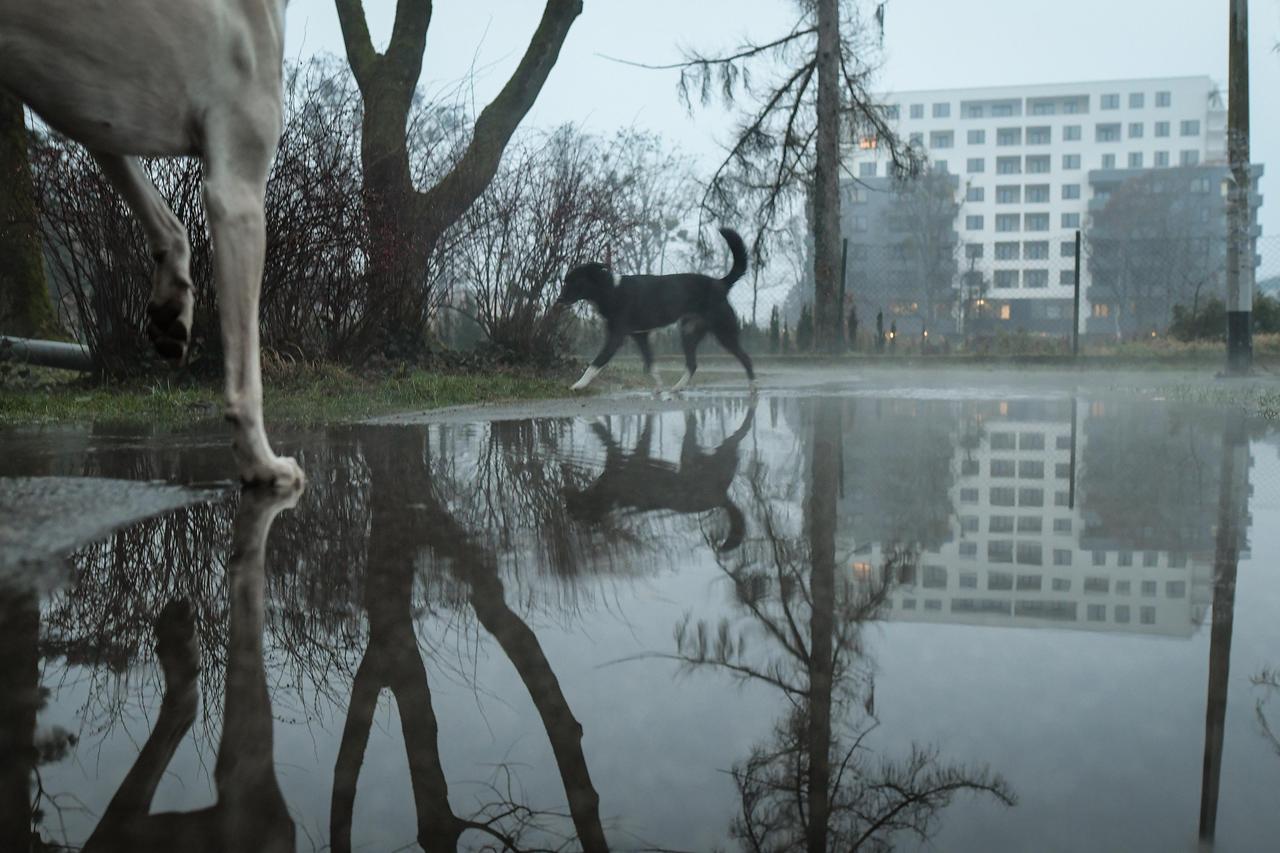 Zagreb: Puknuće vodovodne cijevi u naselju Ravnice