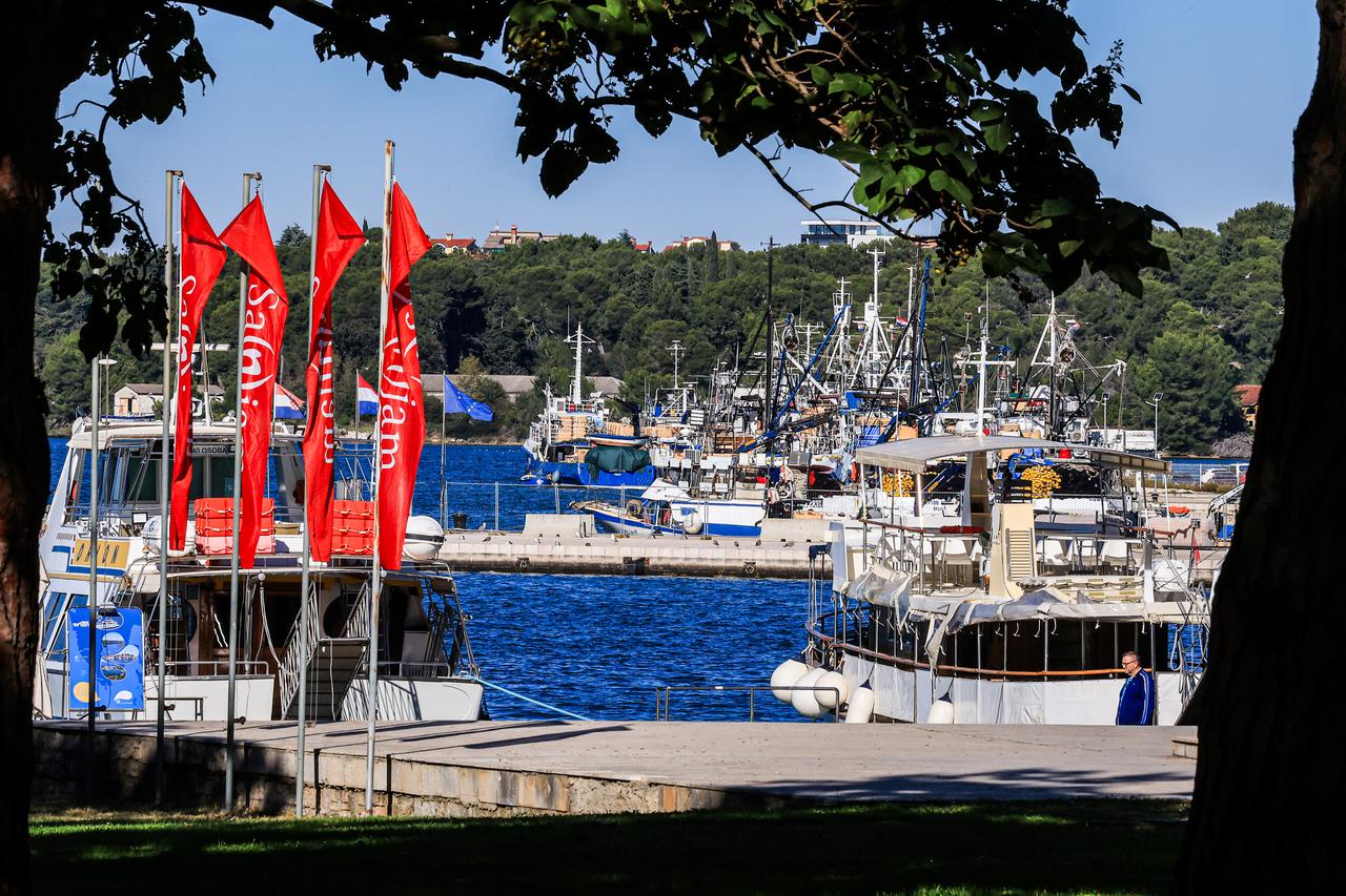 Brodovi usidreni u pulskoj luci