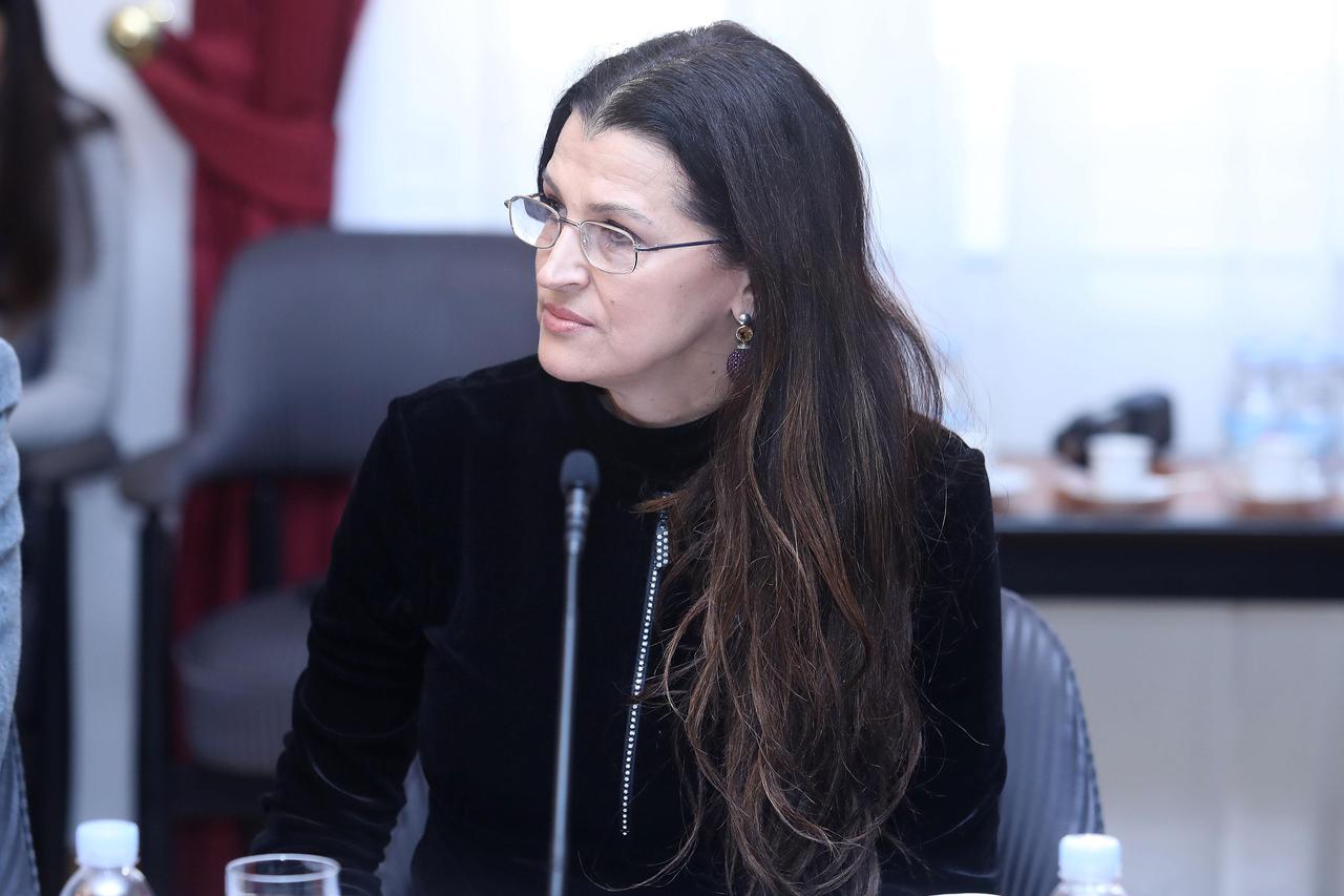 Zagreb: Posljednji dani Romane Jerković u Saboru prije odlaska u Europski parlament