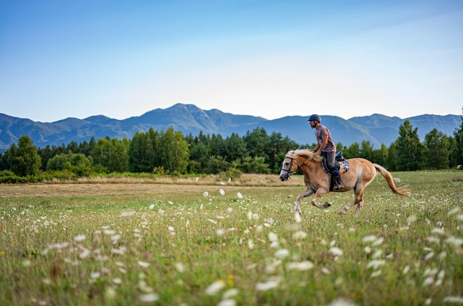 Podravina i Lika HTZ