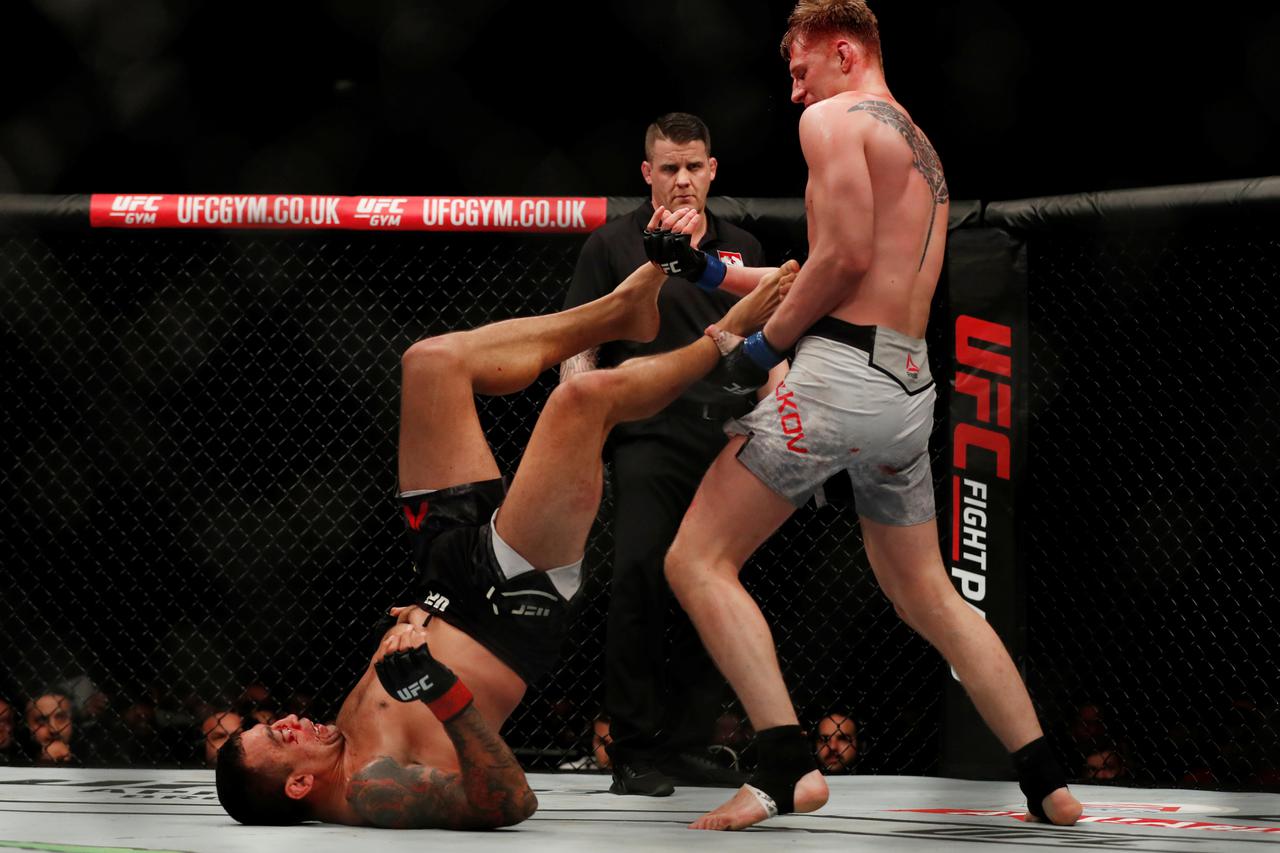 Aleksandar Volkov Fabricio Werdum