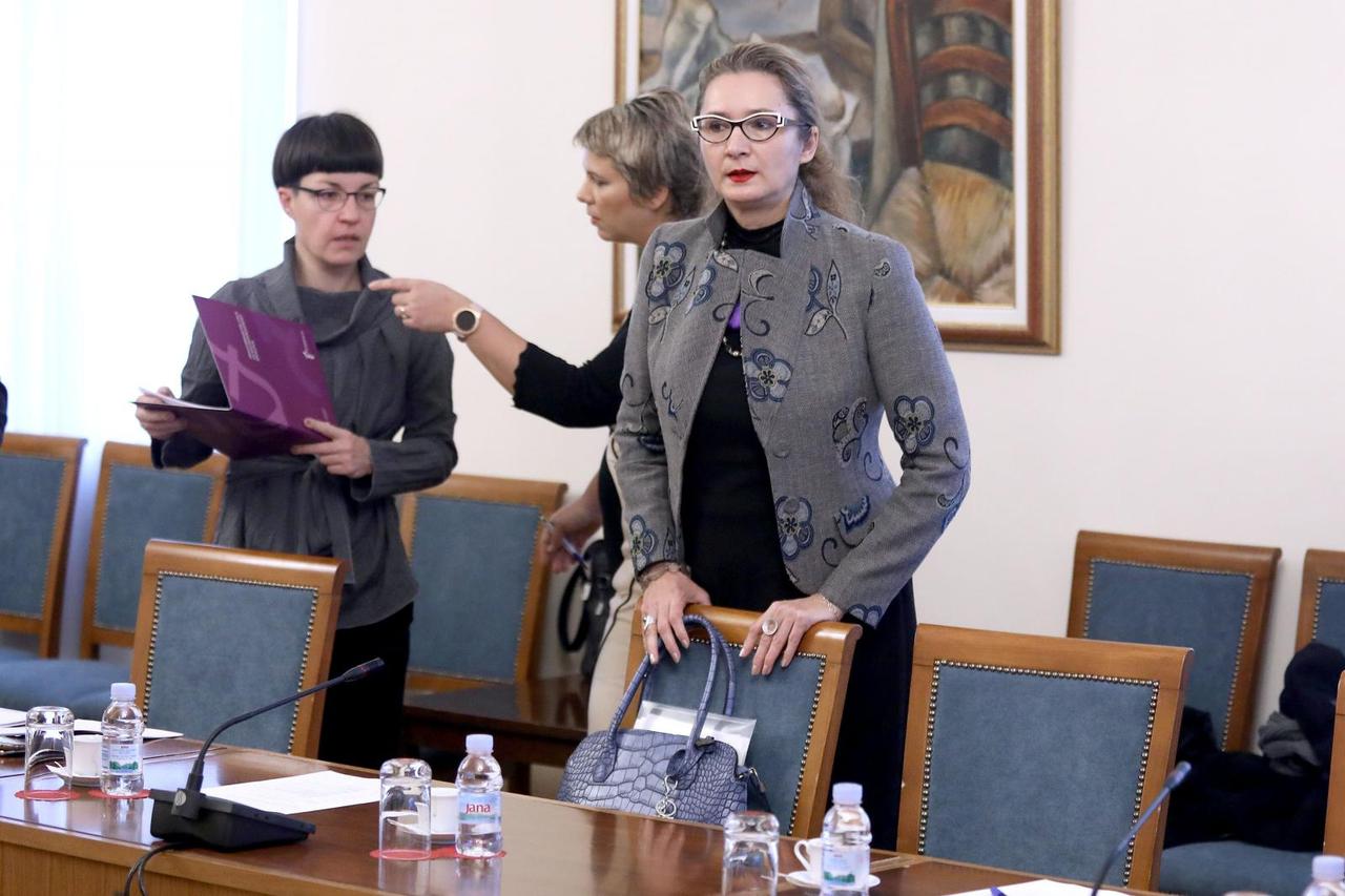 Pravobraniteljica za ravnopravnost spolova Višnja Ljubičić