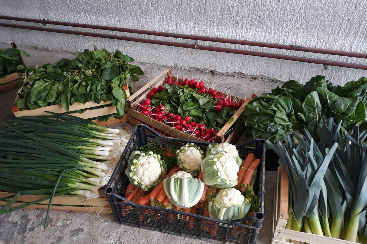 Zagrebački virtualni plac