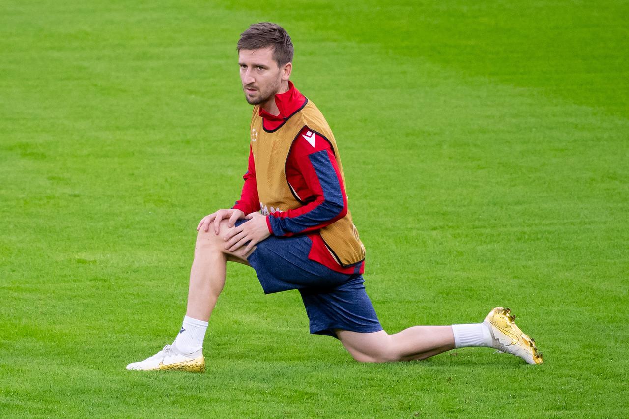 Marko Marin