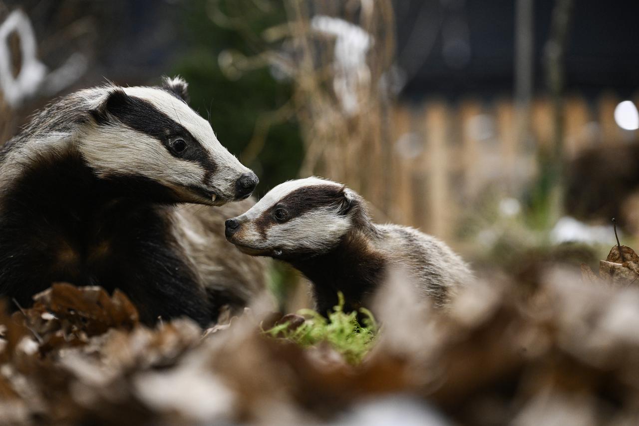 Zagreb: Na Zagrebačkom Velesajmu otvoren je Zagrebački sajam lova