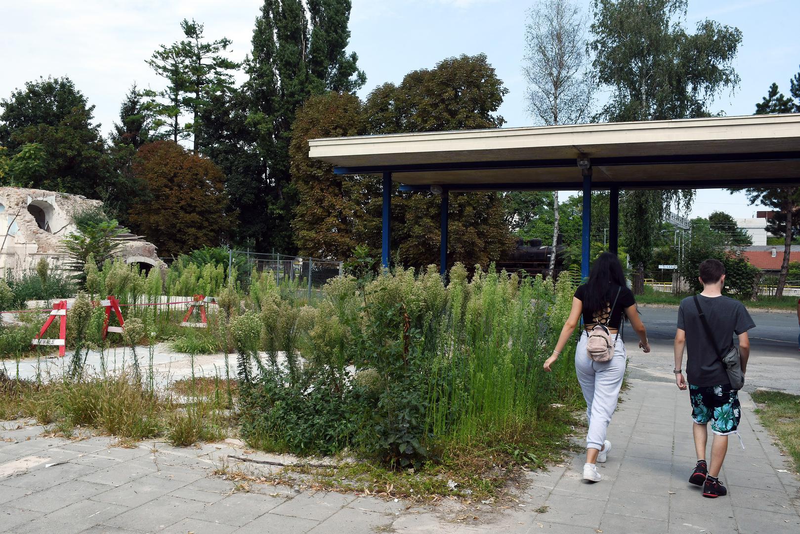 Ako ste mislili da je Zagreb zapušten i obrastao travom, onda niste bili u Sisku u kojem bi se bez problema mogli snimati apokaliptični filmovi. 