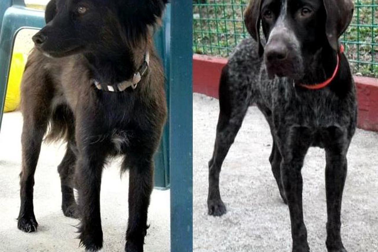 Malena i Alfi