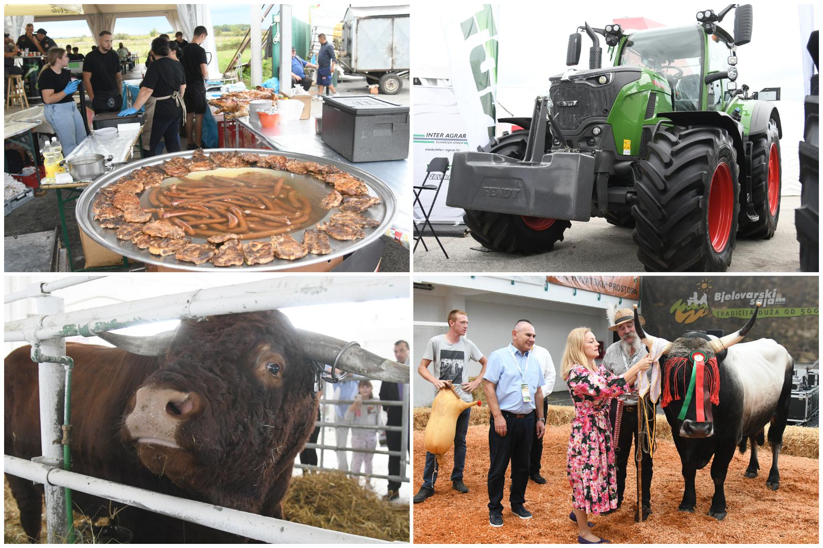 Na sajamskom prostoru u Gudovcu upravo traje Jesenski međunarodni bjelovarski sajam, koji se održava od 5. do 7. rujna i svake godine privlači velik broj posjetitelja i izlagača iz različitih područja poljoprivrede. 