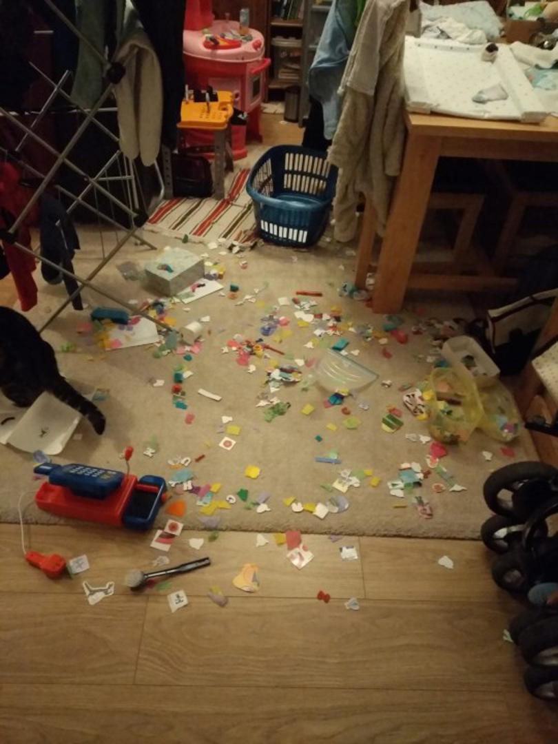 "Jedva čekam ovo sve čistiti", našalila se jedna majka.
