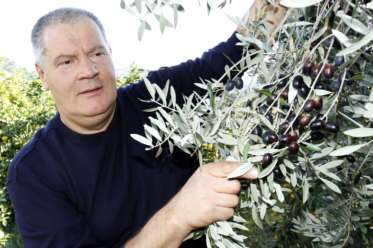 Metkovi?: Stipe Gabri? Jambo na svojoj plantaži