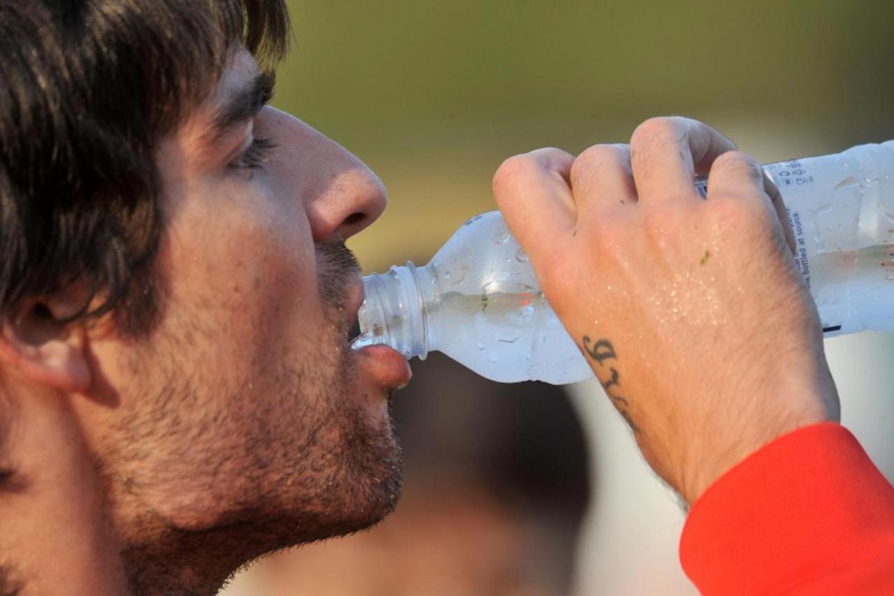 Vedran Ćorluka
