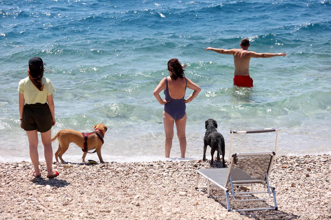 Crikvenica: Dog Beach & Bar