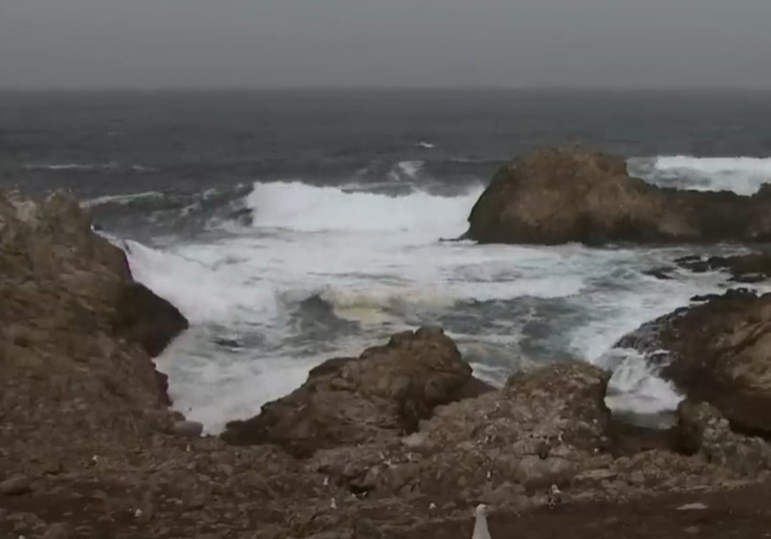 Farallonski otoci, SAD - Obala ovih otoka kraj San Francisca krije tisuće bačvi radioaktivnog otpada. Točne lokacije i rizici su nepoznati, a uklanjanje bi moglo biti opasnije od ostavljanja. Populacija morskih slonova privlači velike bijele morske pse.