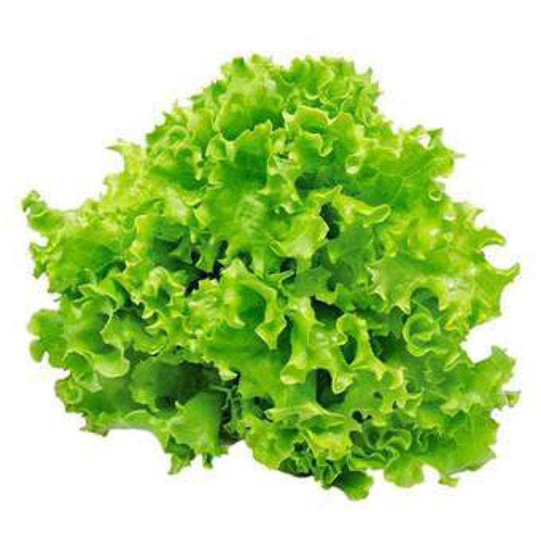 Otkupna cijena - 2kn
Maloprodajna - 6kn