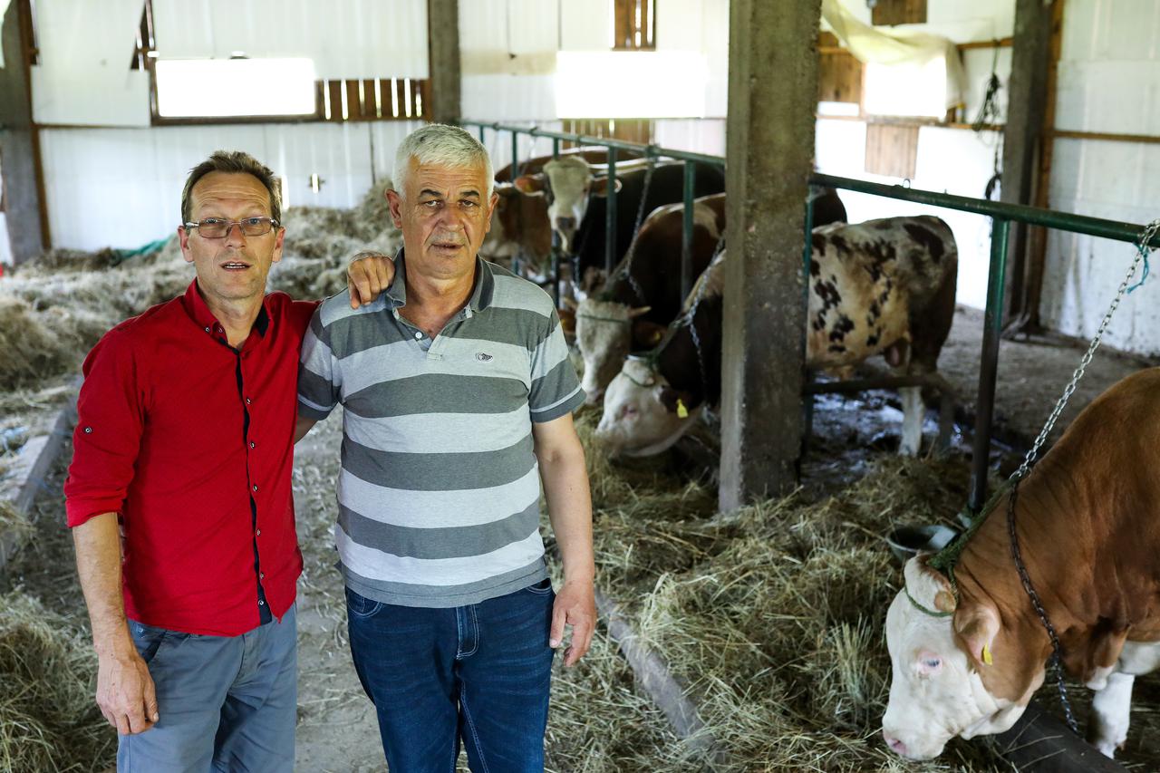 Daut Tihic i Dane Vasic, Bosnjak i Srbin