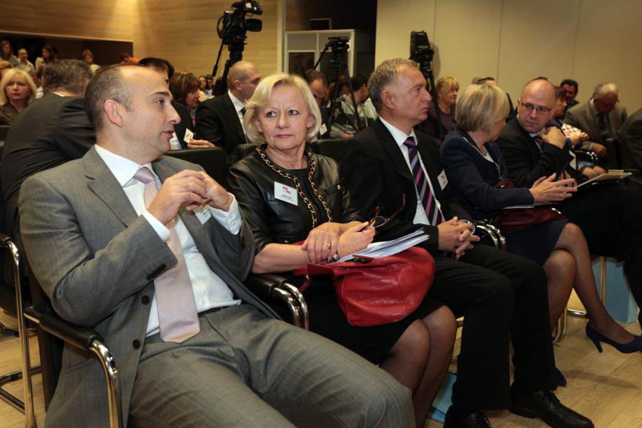 Ljerka Puljić, portal