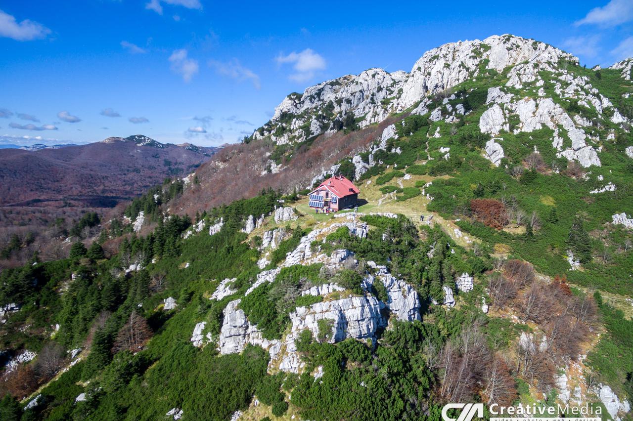 Risnjak