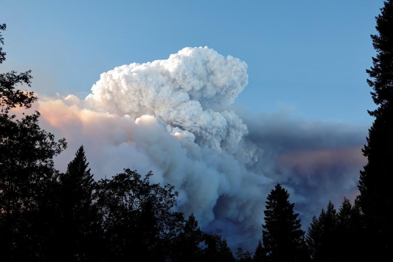 Wildfire near Butte Meadows, California