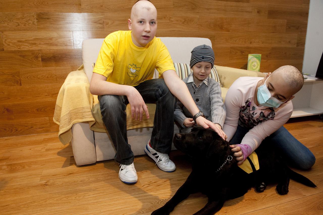 04.02.2014., Zagreb - Hrvatska udruga za skolovanje pasa vodica dodijelila je labradoricu Diru Udruzi Krijesnica za pomoc djeci i obiteljima suocenim s malignim bolestima. Photo: Davor Visnjic/PIXSELL