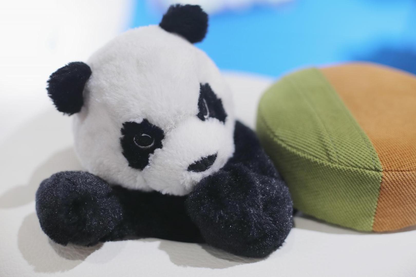 9. OBOŽAVAJU PANDE - Ponosni vlasnici najveće zbirke predmeta vezanih uz pande naši su građani – Iva i Edo Rajh. Njihova kolekcija sadrži i 1966 različitih poštanskih markica.