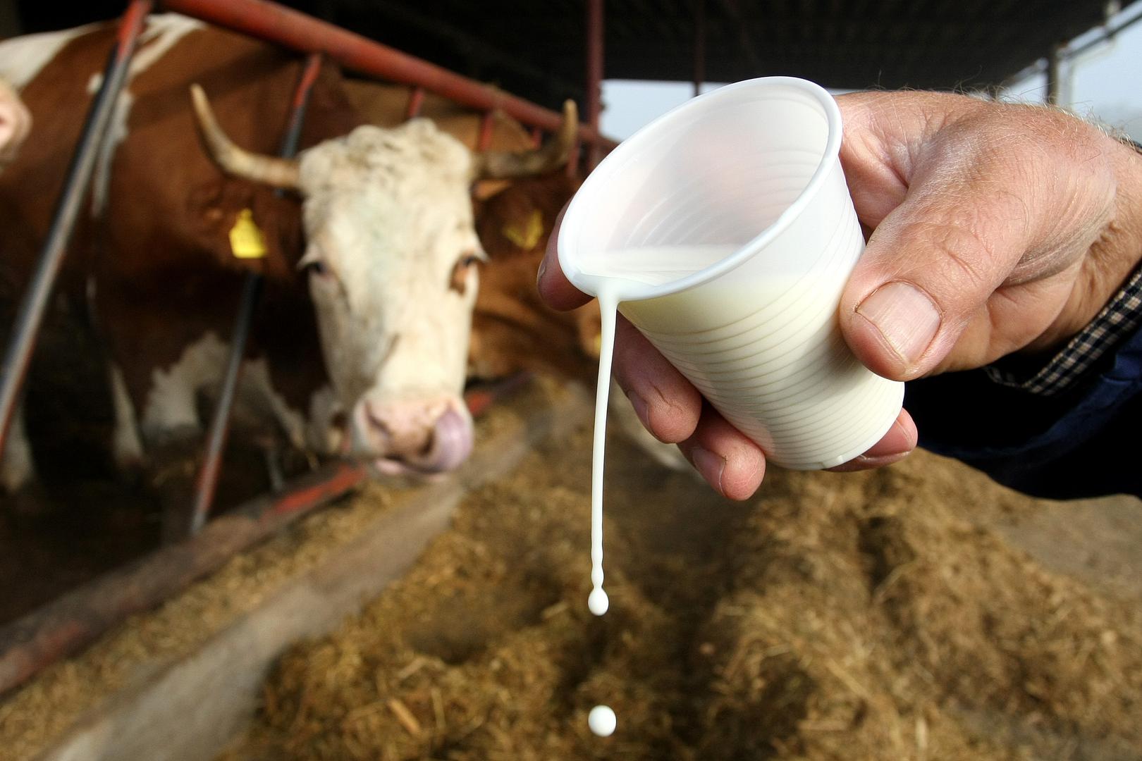 Svježe kravlje mlijeko – Postoji uvriježen stav da je svježe kravlje mlijeko zdravije i nutritivno bogatije od pasteriziranog, ali je ipak vrlo rizično za dječji probavni sustav. Mlijeko koje nije pasterizirano rizičnije je za razvoj bolesti kod djece jer njihov imunološki sustav nije toliko razvijen kao kod odraslih ljudi, tvrde nutricionisti.