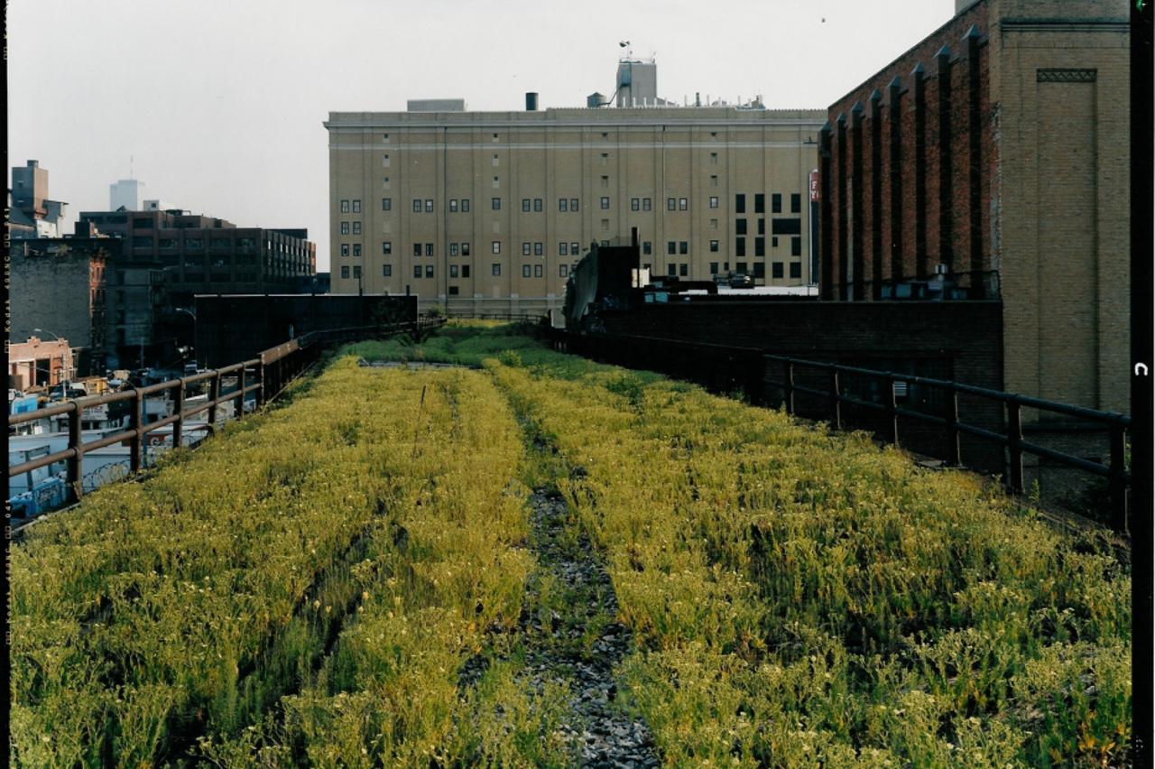 Joel Sternfeld, fotografije  