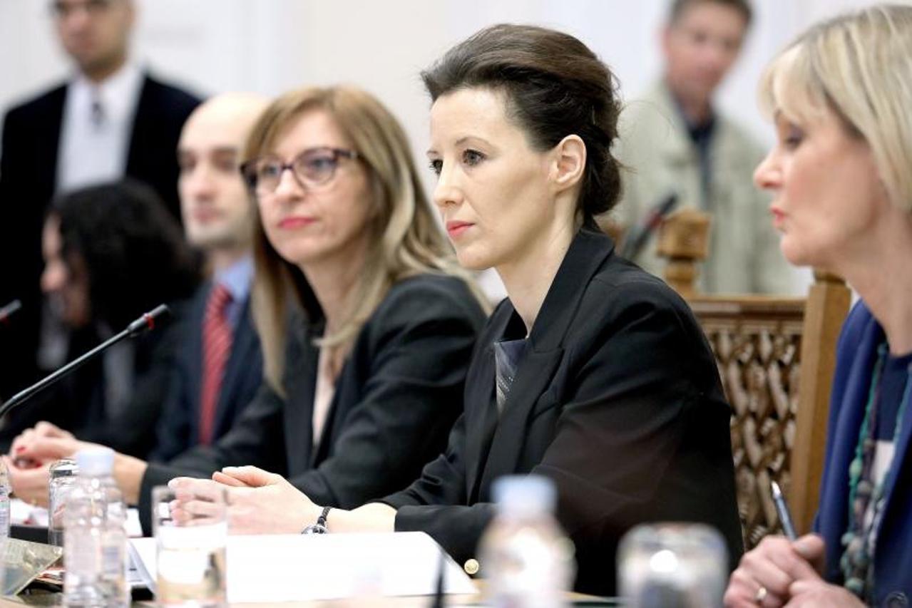 Odbor za ustav, dalija orešković