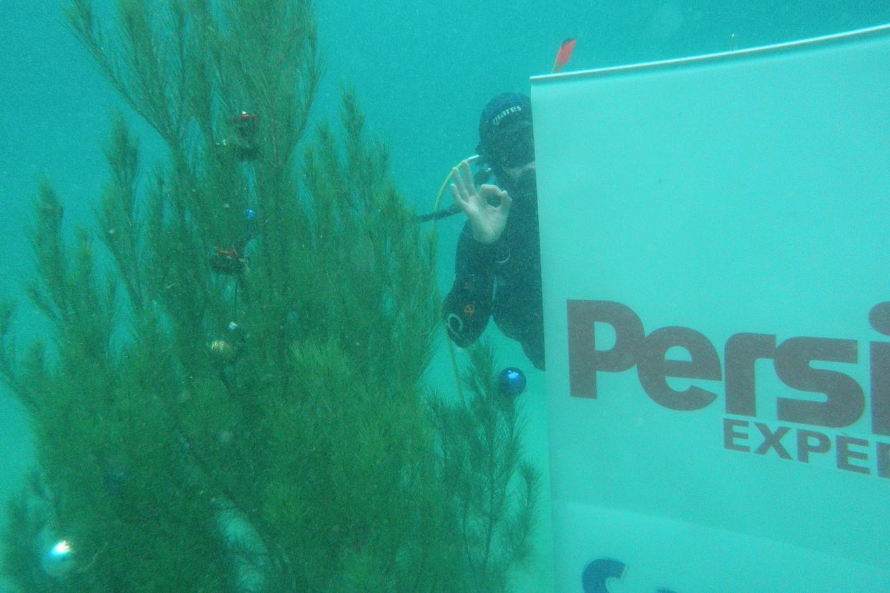 POdvodno božićno drvce