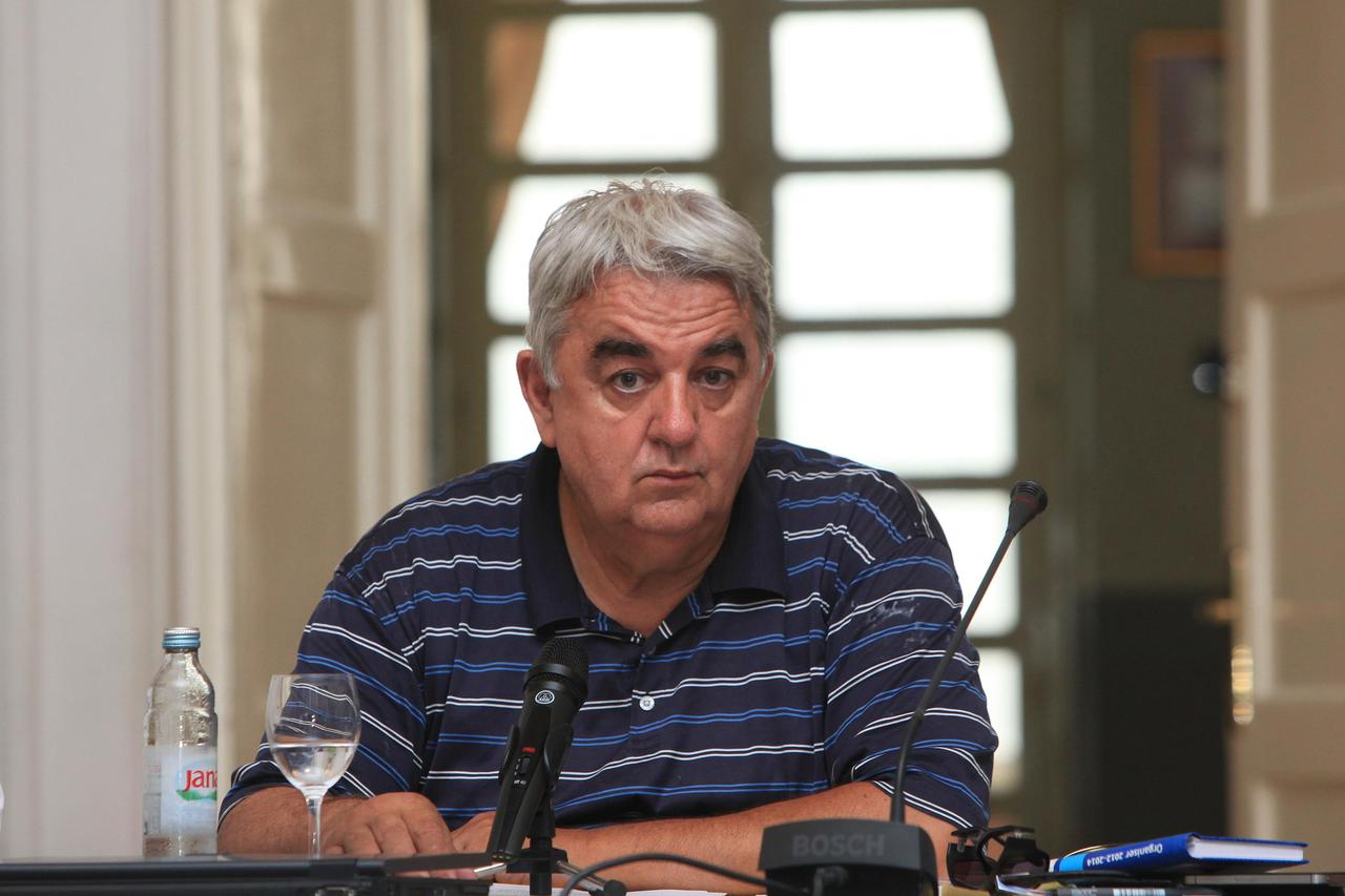 ivan zvonimir čičak