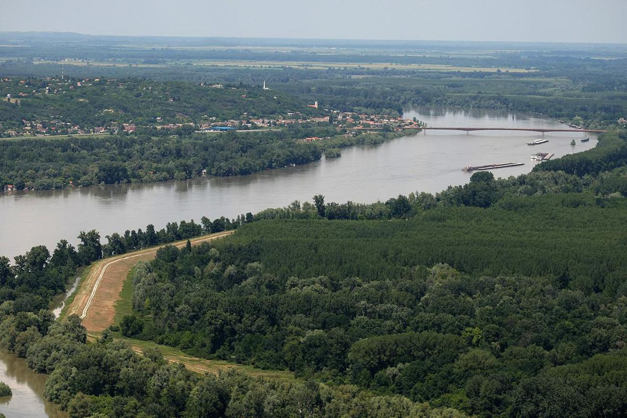dunav poplava