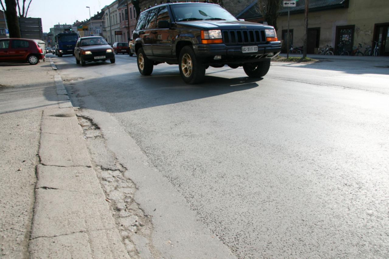 'banija02_dog_230311'