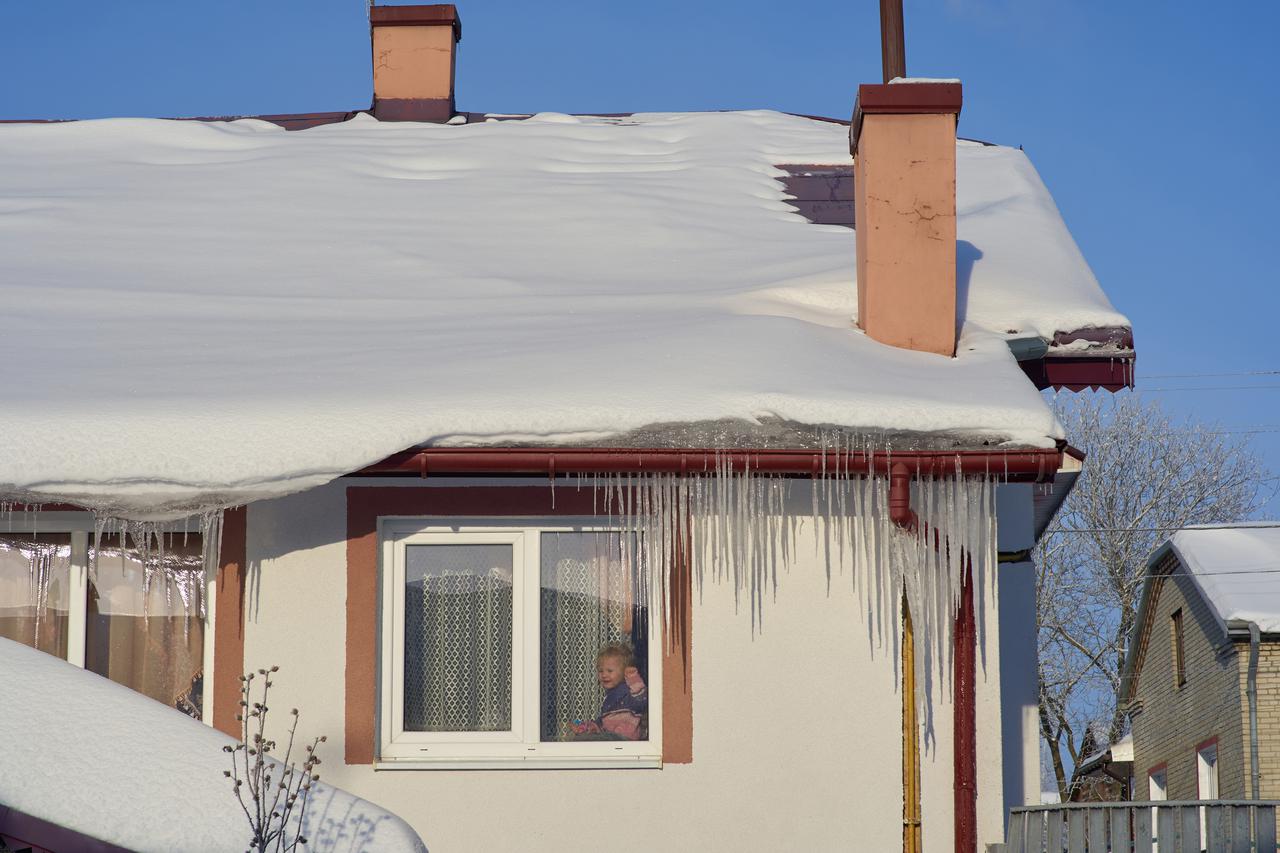 Triglav osiguranje Native