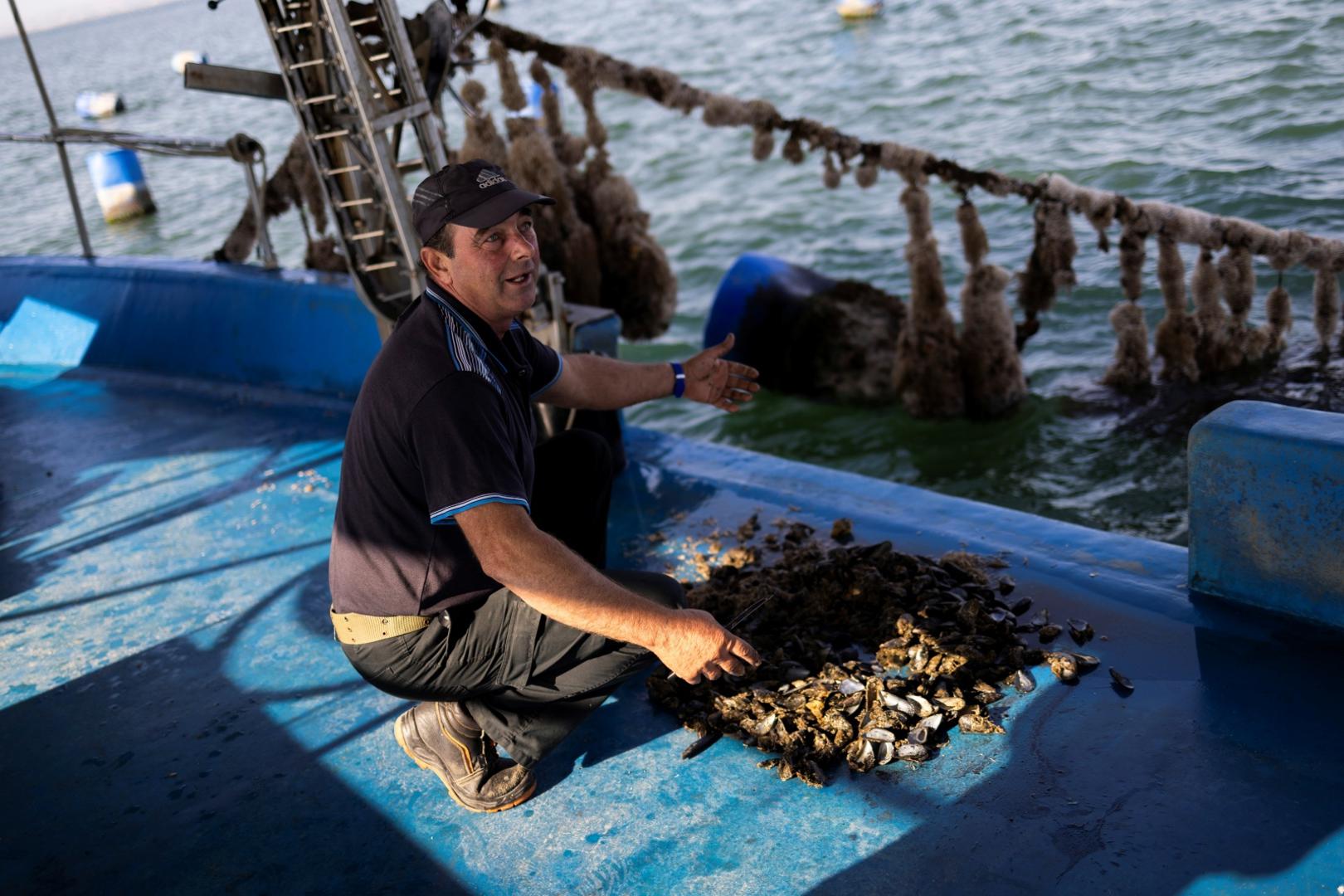 Ovako nešto još nismo doživjeli niti smo znali da je to moguće, kaže grčki uzgajivač dagnji Stefanos Sougioultzis