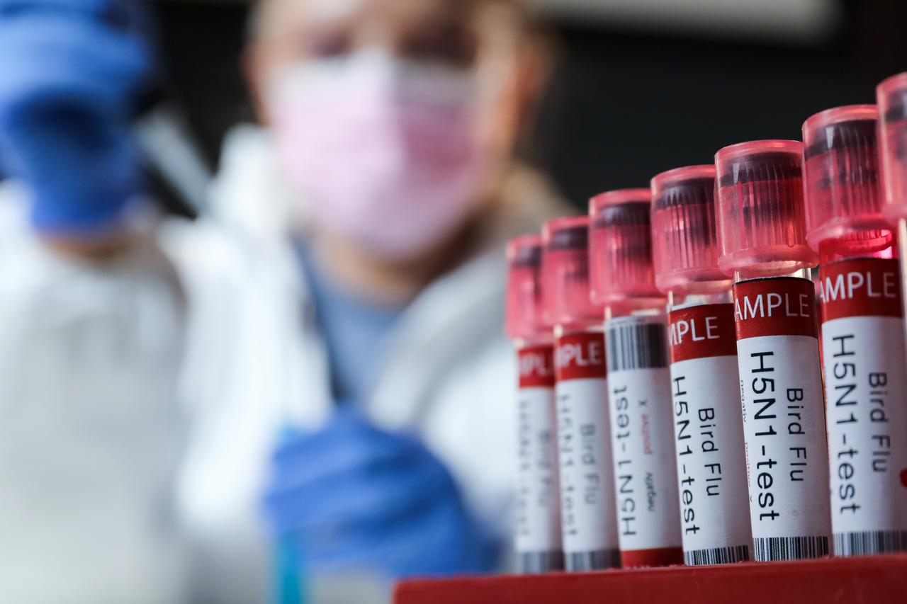 Ilustracija, laboratorij za testiranje na H5N1 