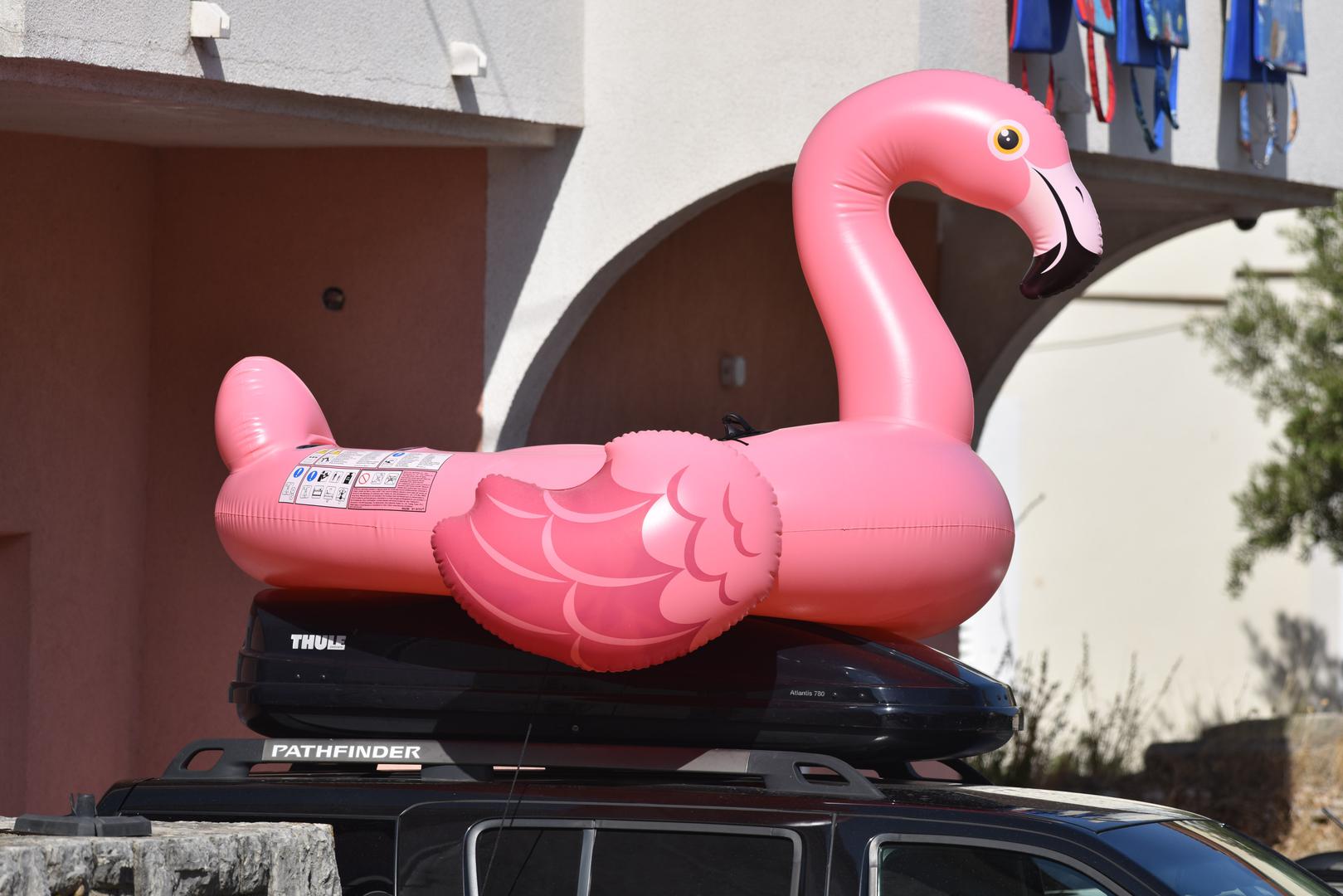 Sunce, plaža i - veliki rozi Flamingo! Svaka čast zadivljujućim plažama, kristalno čistom moru, razvikanom Zrću i zgodnim turistima, ali hit ljeta je ovaj simpatični luftić