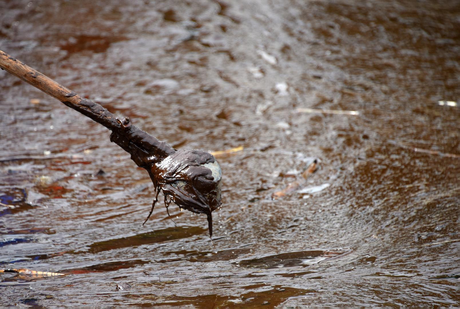 Ono što se sa sigurnošću može zasad utvrditi jest da je onečišćenje došlo s mora, a istražne radnje su u tijeku, dodala je.

