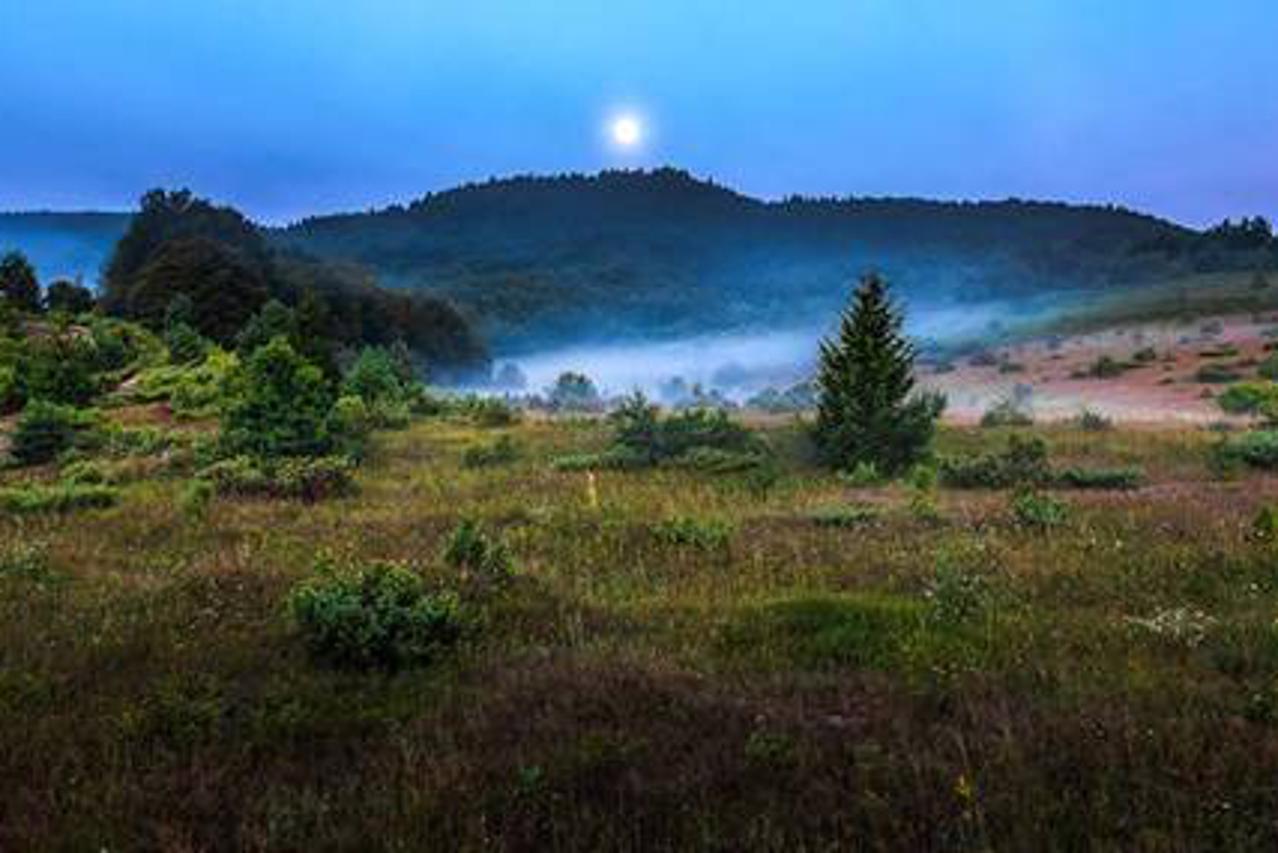 Foto Ars Japodija (1)