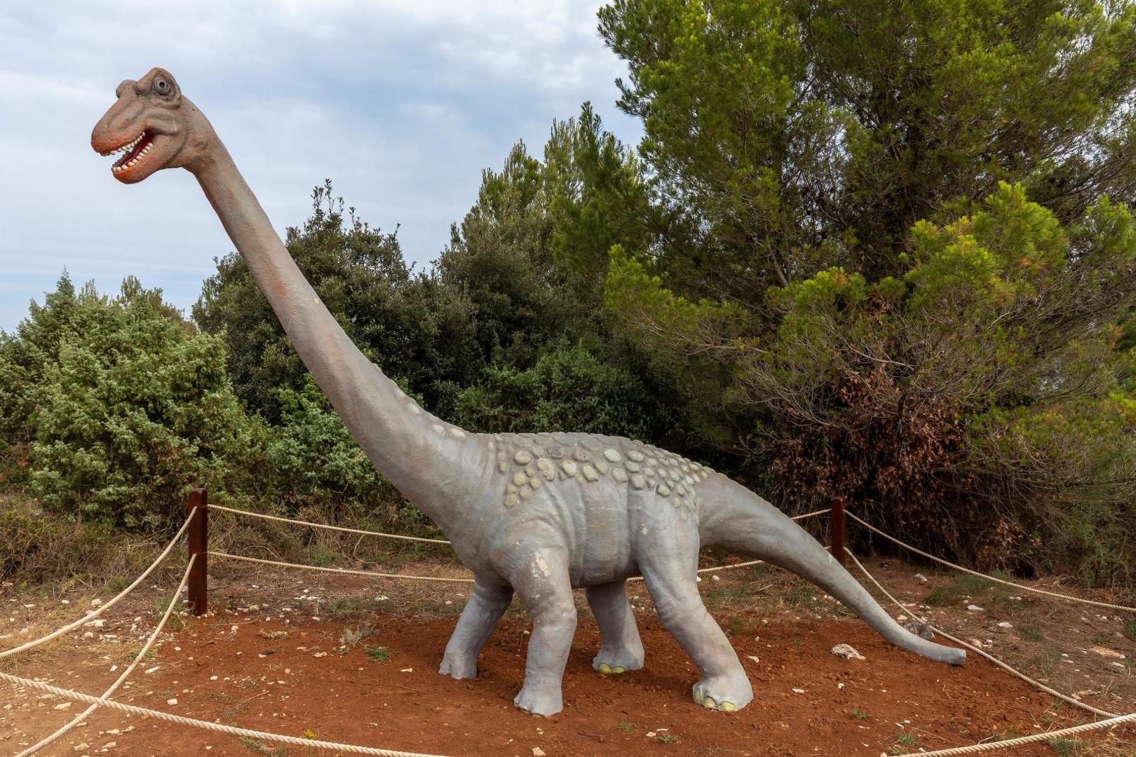 11.07.2020., Premantura - 
Na samom jugu Istre je Premantura te Kamenjak. Staza dinosaura.
Photo: Srecko Niketic/PIXSELL