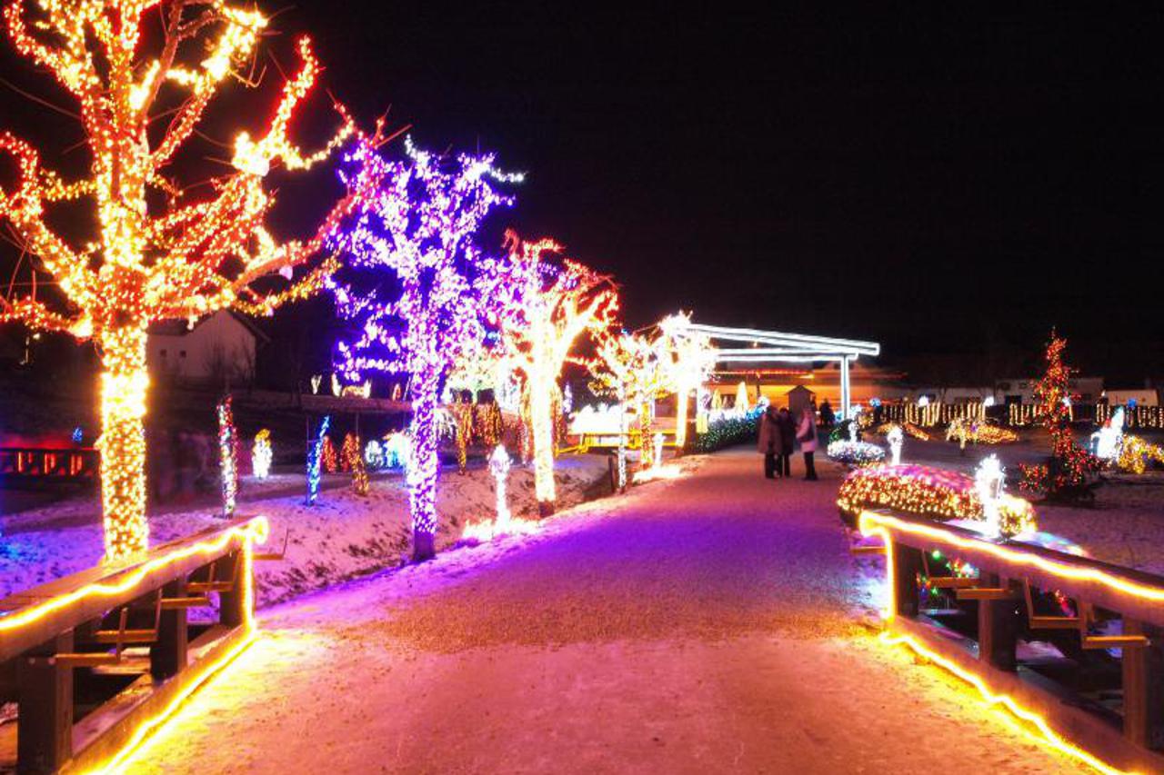 kosor, lampice (1)