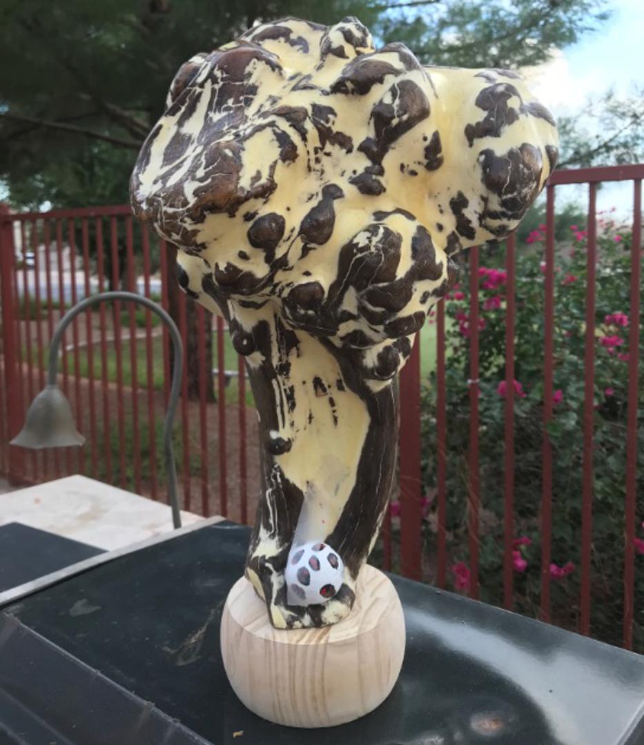 Pehar za vatrene - kipar naivac Mike Barbarić iz Arizone