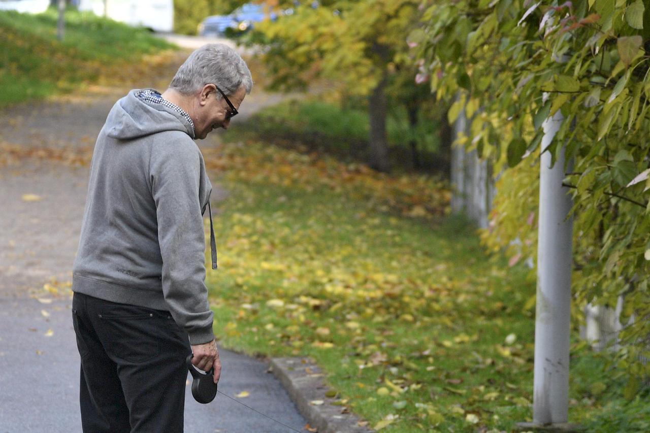 Saulij Niinistö