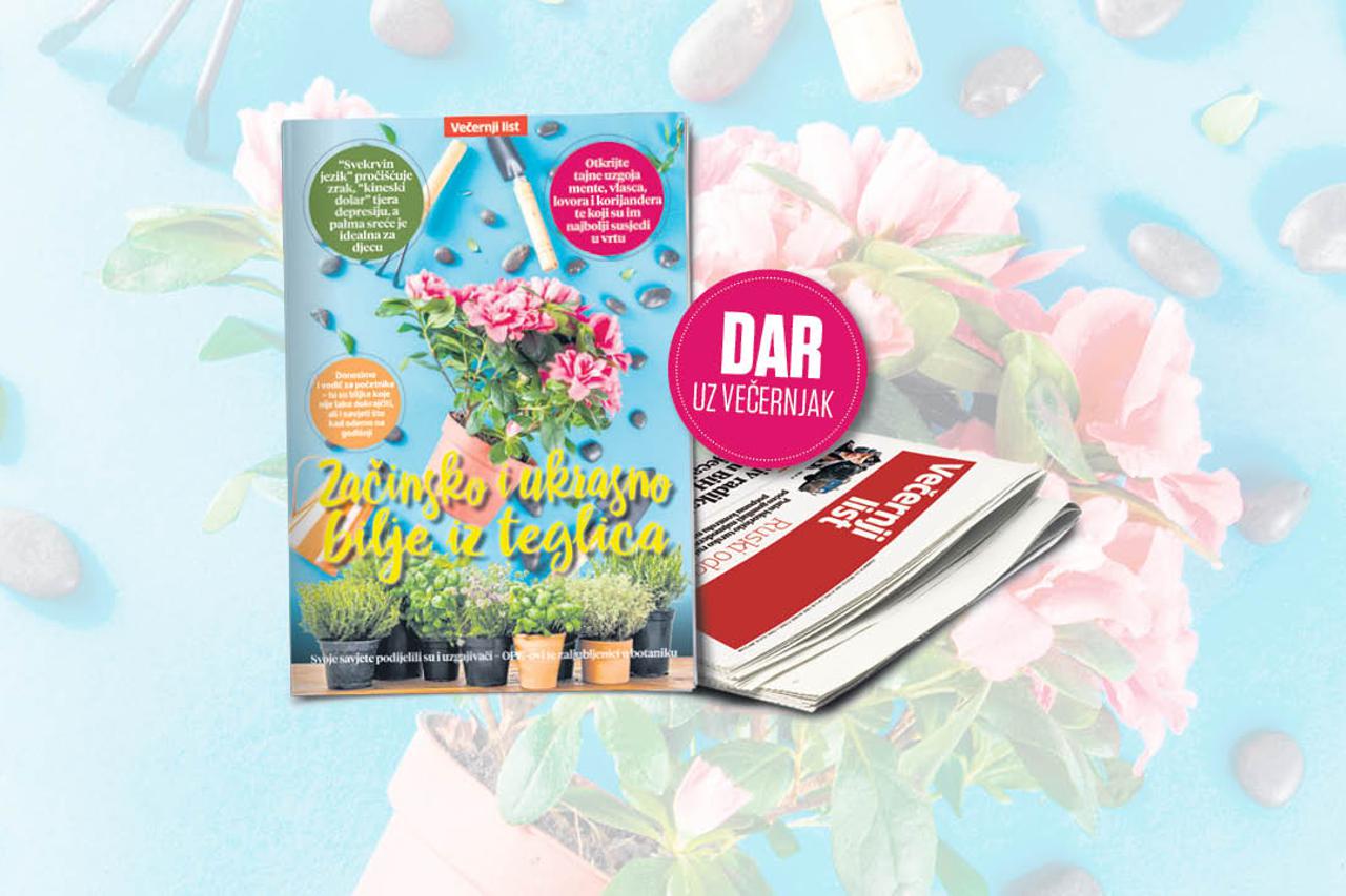 Začinsko i ukrasno bilje