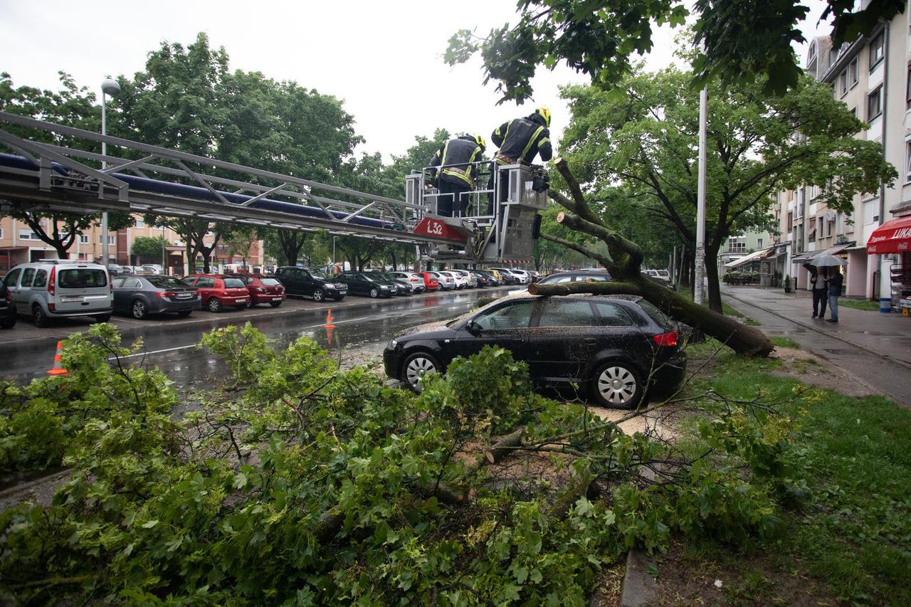 Zagreb: Nevrijeme srušilo stablo na parkirane automobile u ulici Ivane Brlić Mažuranić