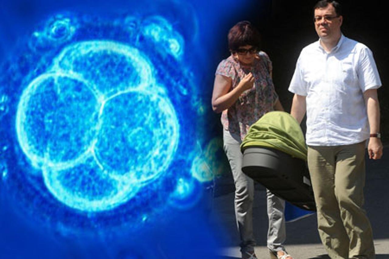 Damir Bajs i umjetna oplodnja