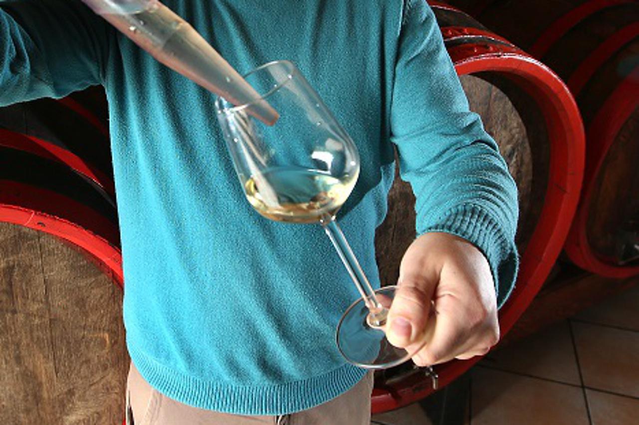 vino