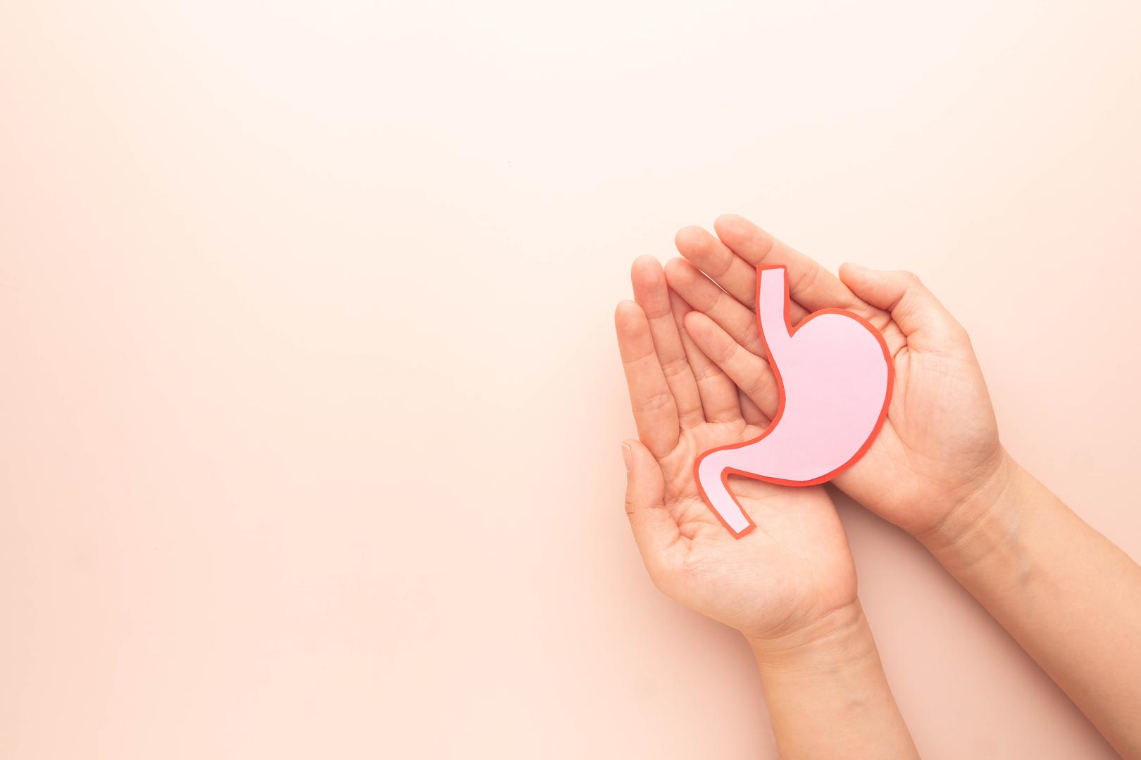 4. Želudac: Želudac je "prvi tjelesni mikser hrane" i služi za njezinu pohranu prije nego što je razgradi za probavu. "Ako se djelomično ili potpuno ukloni zbog raka, čira ili operacije mršavljenja, hrana ide izravno u tanko crijevo, ali probava se dramatično mijenja", objasnio je liječnik. Doživotni dodaci prehrani, posebno vitamini, su neophodni uz pažljivu prehranu da bi se upravljalo apsorpcijom hranjivih tvari i "sindromom odlaganja" kada se neprobavljena hrana prebrzo kreće u tanko crijevo. "Život je podnošljiv, ali zahtijeva stalnu pažnju prema prehrani i medicinsku podršku. U kriznim vremenima ljudi mogu brzo dehidrirati i postati pothranjeni", rekao je dr. Mukherjee.