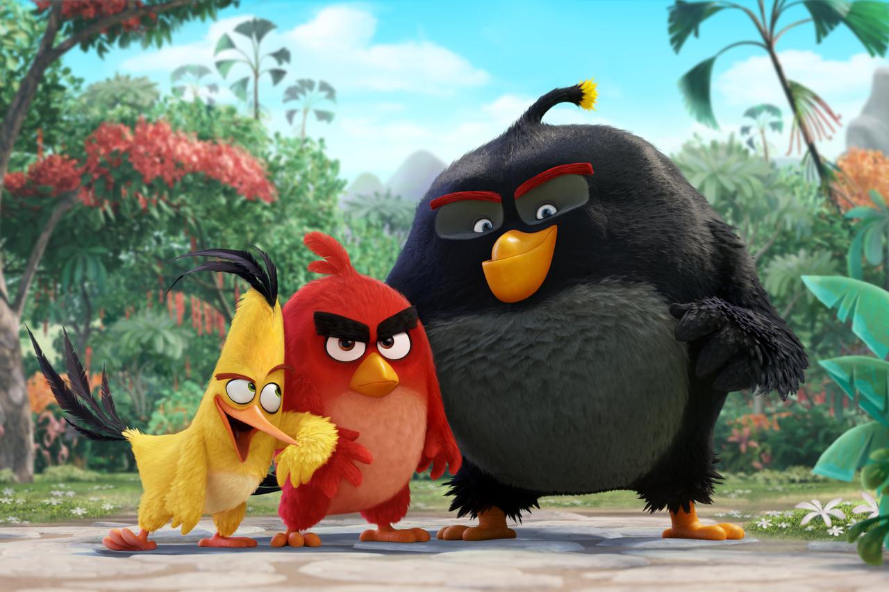 angry birds
