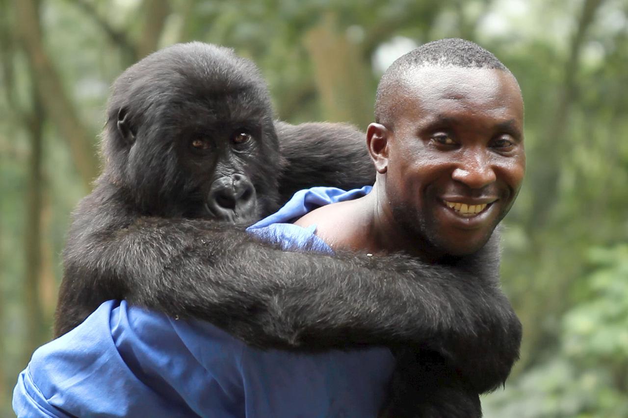 film virunga