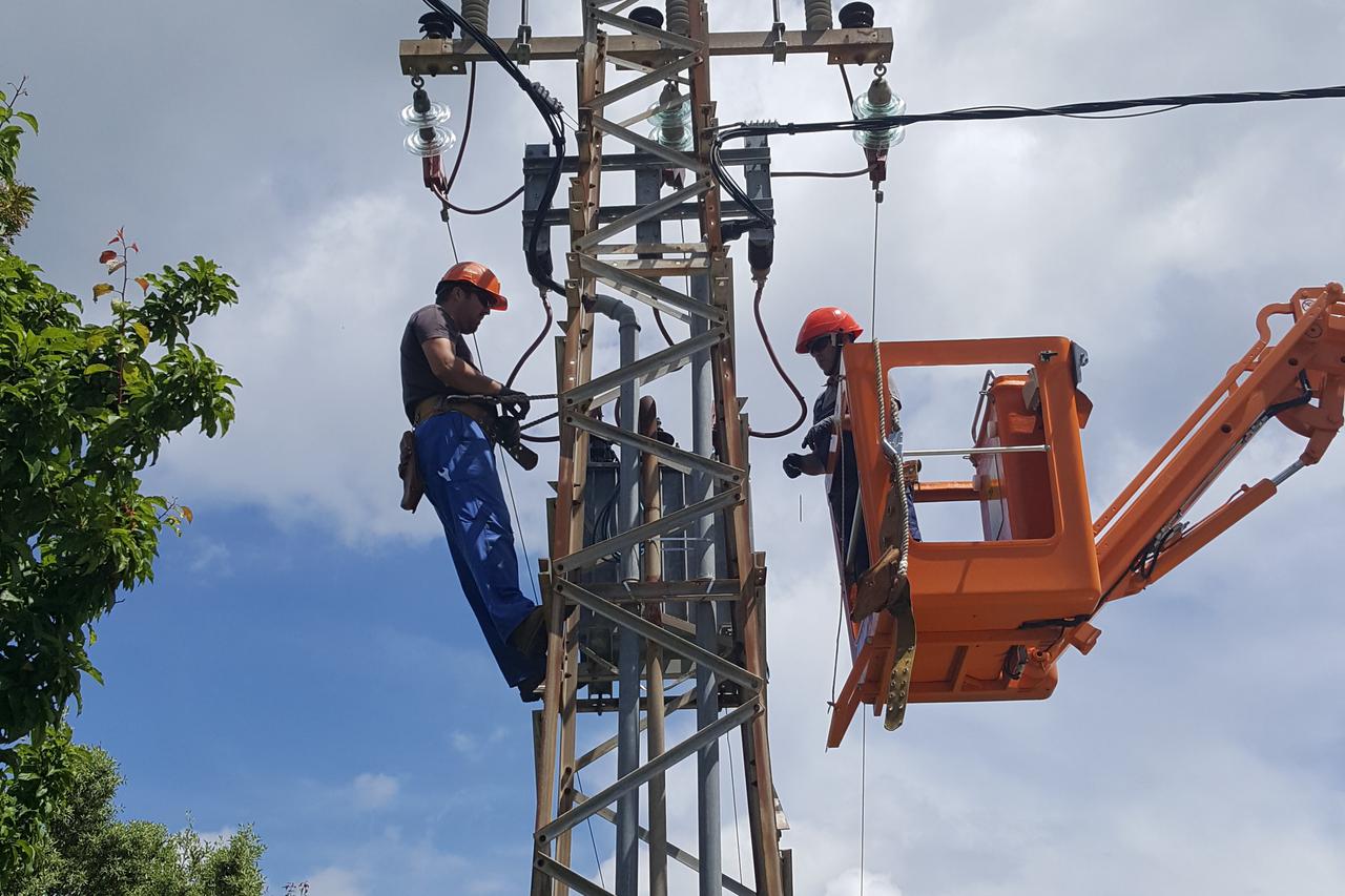 Zaštita bjeloglavih supova od elektrokucije